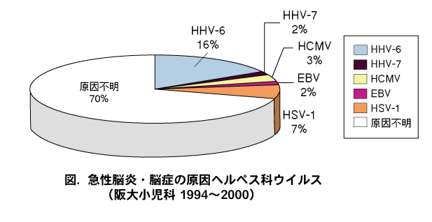 ヘルペス脳炎とは